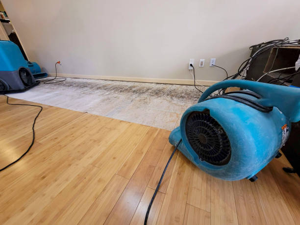 Professional Structural Drying technician working in Rock Island, TX